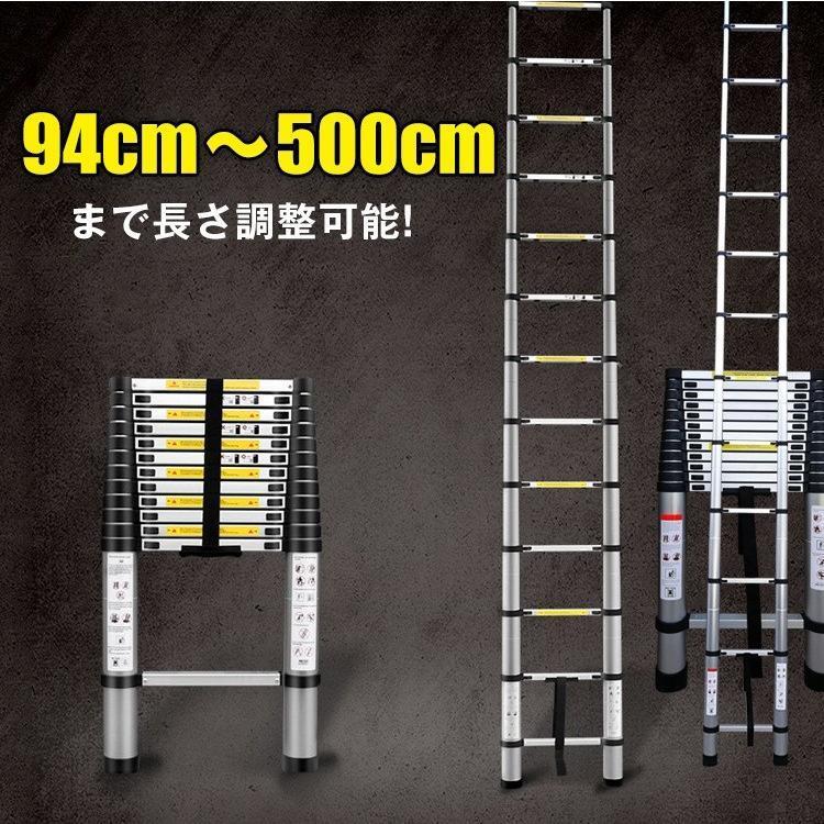 伸縮はしご 5m 2