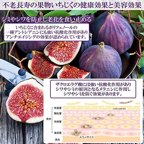 森のスピネル いちじくジャム 3