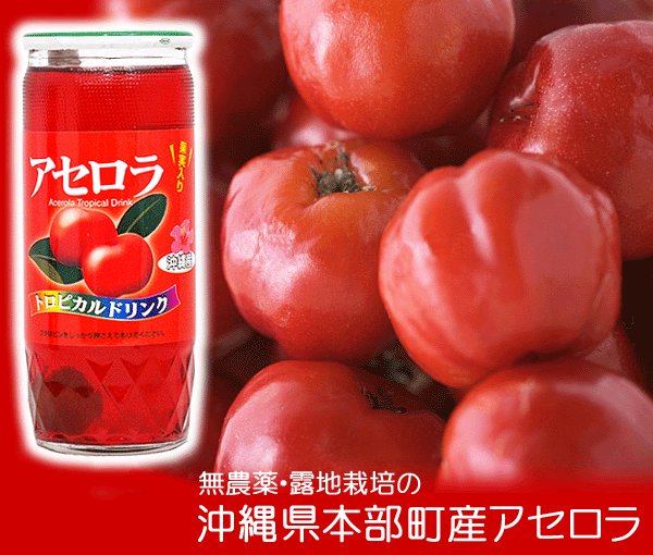 アセローラドリンク 2