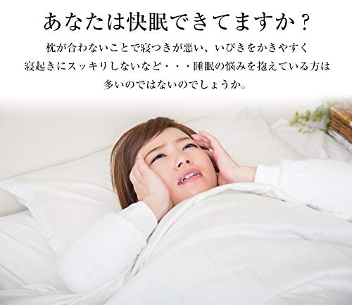 ZERO-G サポートピロー 2