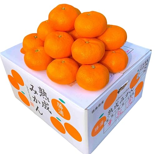 温州みかん 秀品 7