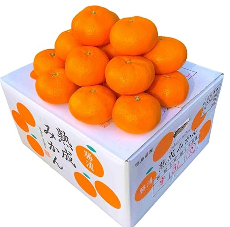 温州みかん 秀品 7