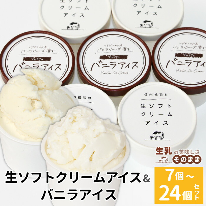 生ソフトクリームアイス&バニラアイスクリーム 1