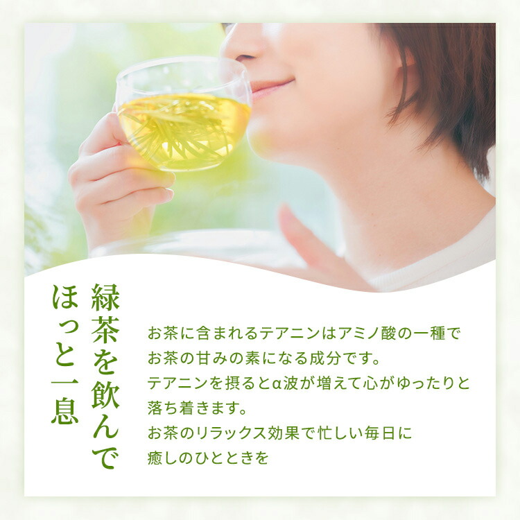 日本茶 さえみどり 9