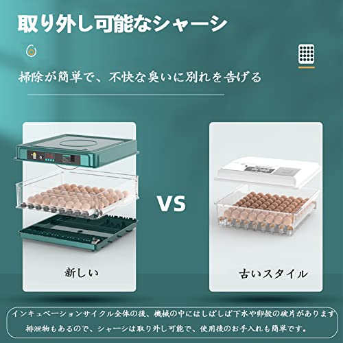自動インキュベーター 6