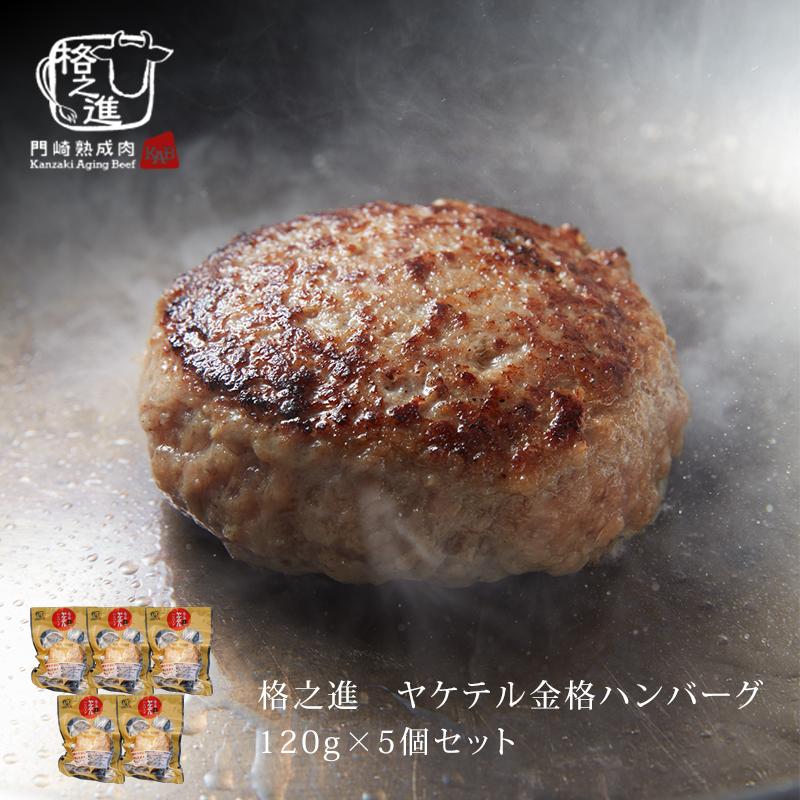 ヤケテル金格ハンバーグ 1