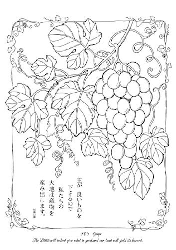 詩篇と共に楽しむ大人の塗り絵 3