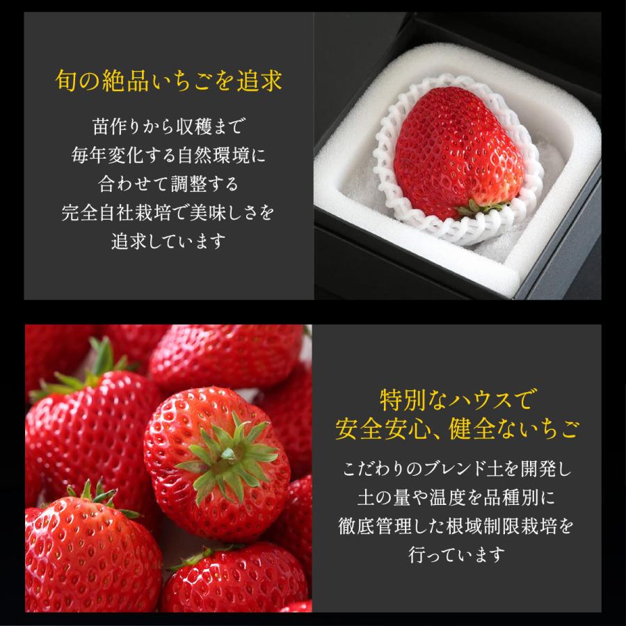 美しの香 クレオパトラおいCベリー 9