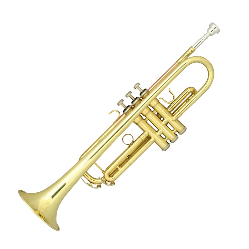 SELVA 入門用トランペット 1