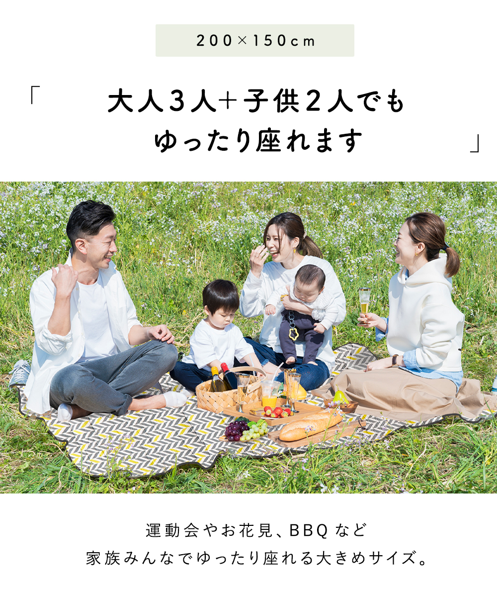 レジャーシート 5