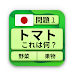 QuizzLand 1