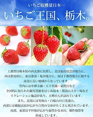 スカイベリー 4