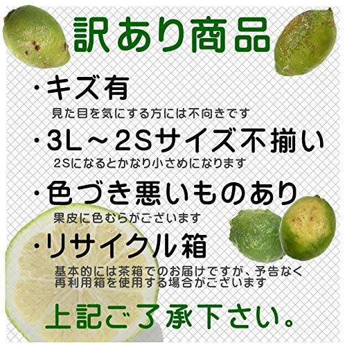 愛媛県産 わけありレモン 3