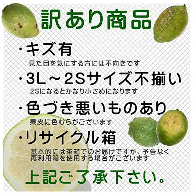 愛媛県産 わけありレモン 3