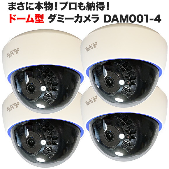 ドーム型ダミーカメラ 1