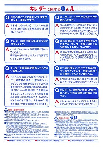 ゼニゴケとり  3