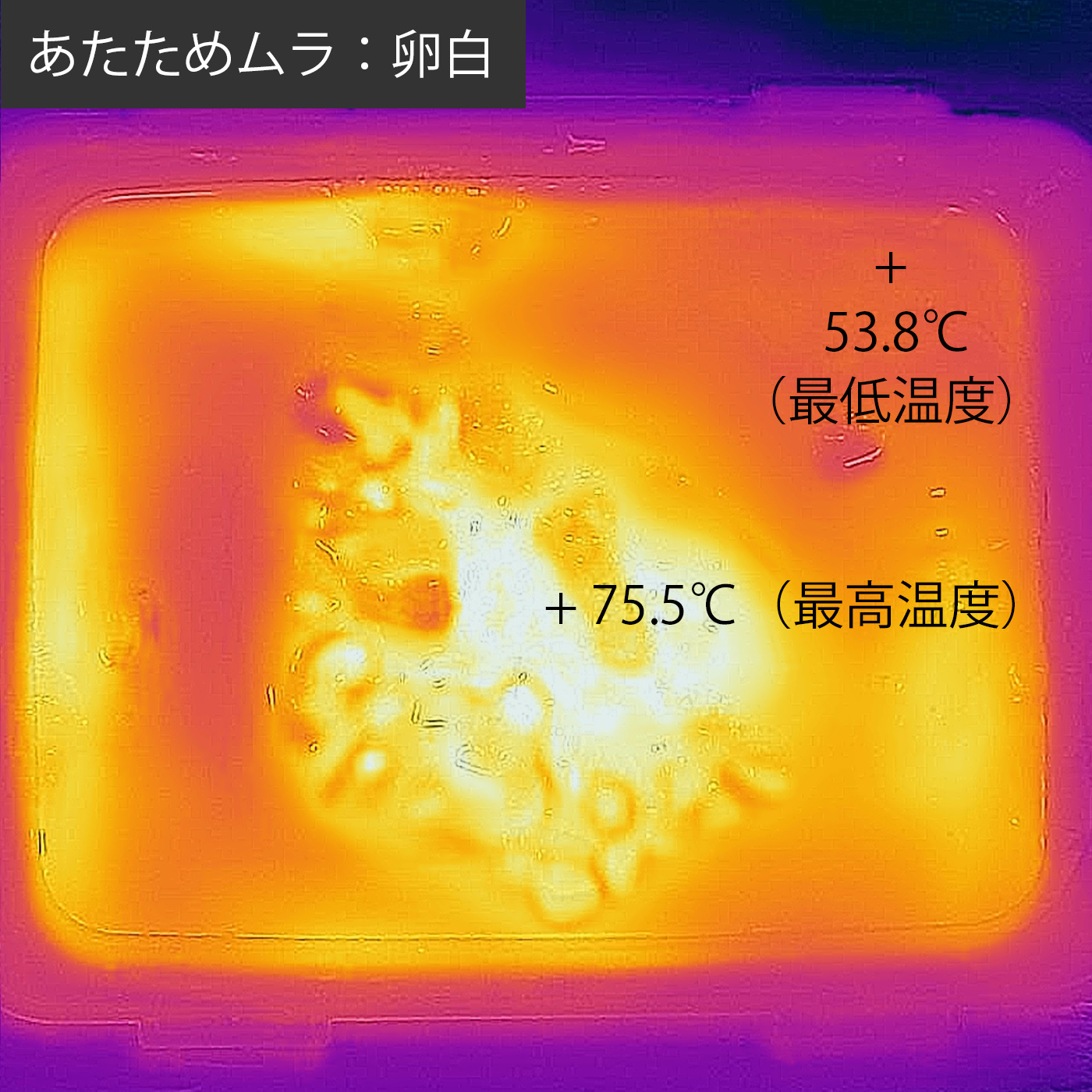 単機能レンジ 5