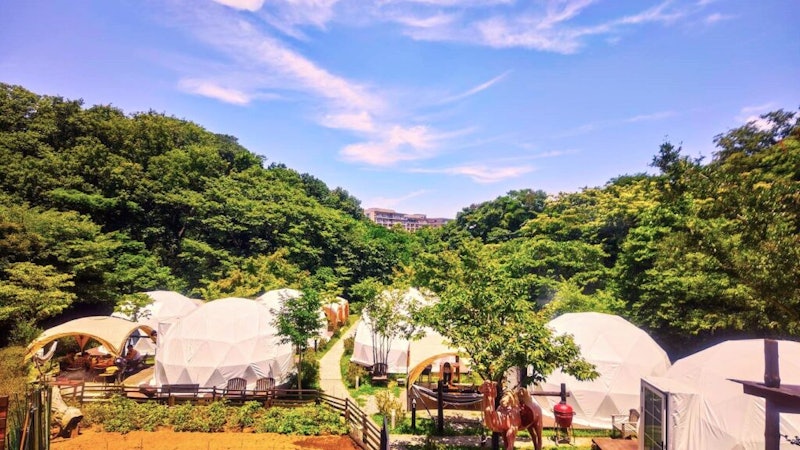 HANZ PAO 横浜 1