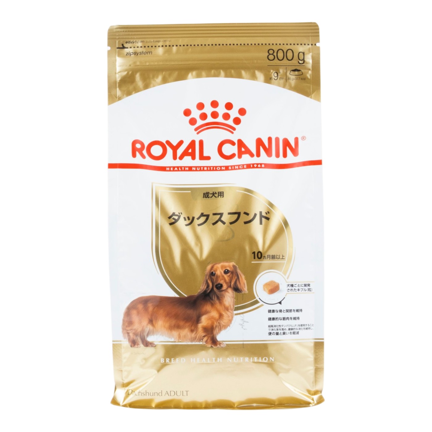 ダックスフンド 成犬用 1