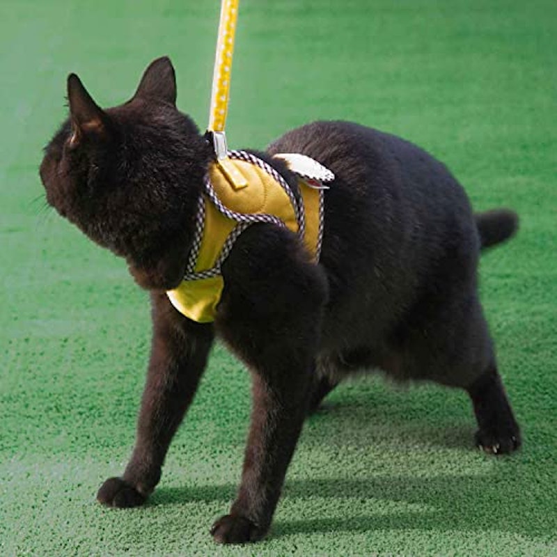 猫用ハーネス 4