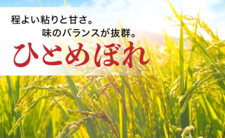 無洗米 宮城県産ひとめぼれ 2