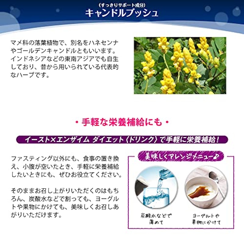 イースト×エンザイム ダイエット 8
