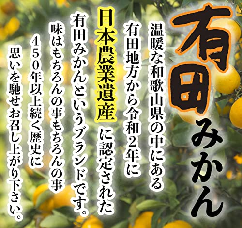 有田みかん 3
