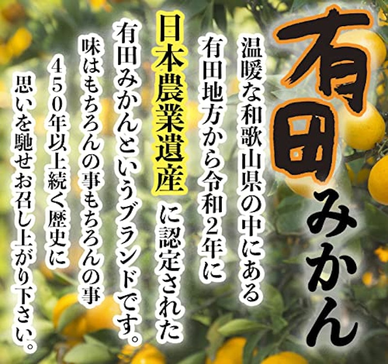 有田みかん 3