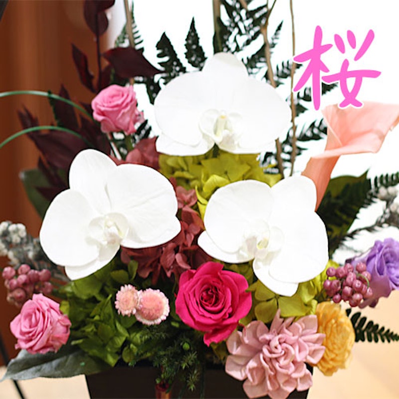 結び胡蝶蘭 4