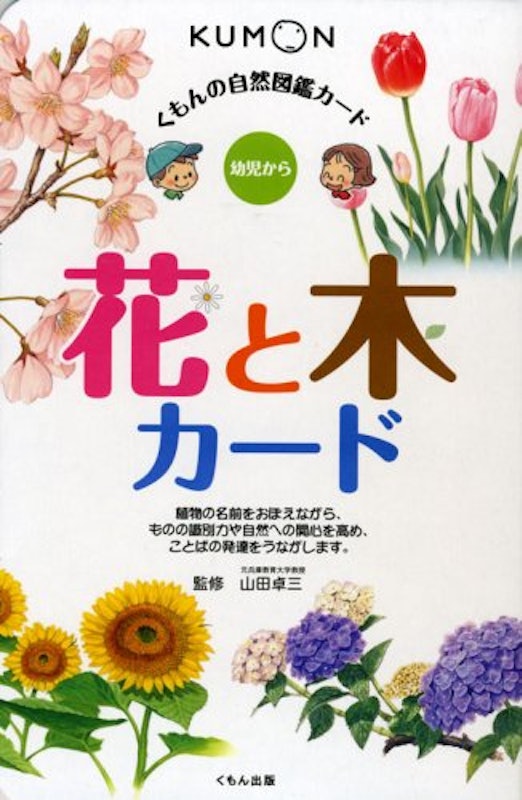21年 花図鑑のおすすめ人気ランキング15選 Mybest 21年 花図鑑のおすすめ人気ランキング15選 Mybest