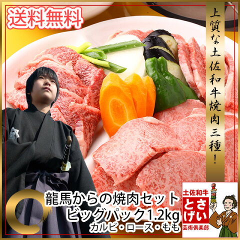 龍馬からのBIG 焼肉セット 2