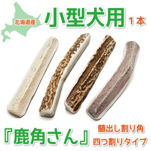 21年 犬用歯磨きおもちゃのおすすめ人気ランキング10選 Mybest