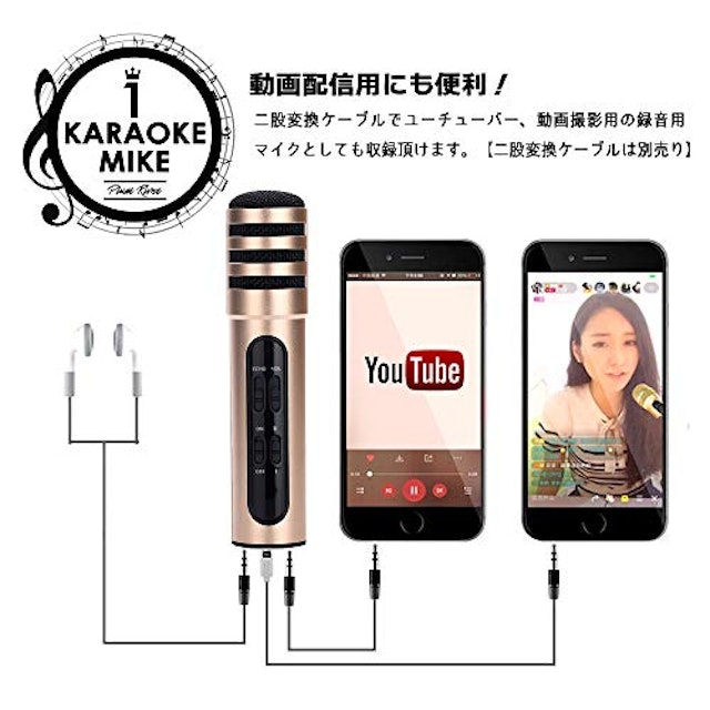 21年 家庭用カラオケマイクのおすすめ人気ランキング10選 Mybest 21年 家庭用カラオケマイクのおすすめ人気ランキング10選 Mybest