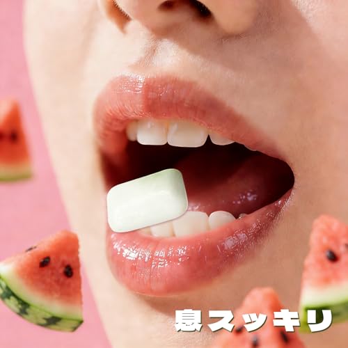 100%キシリトールガム 2