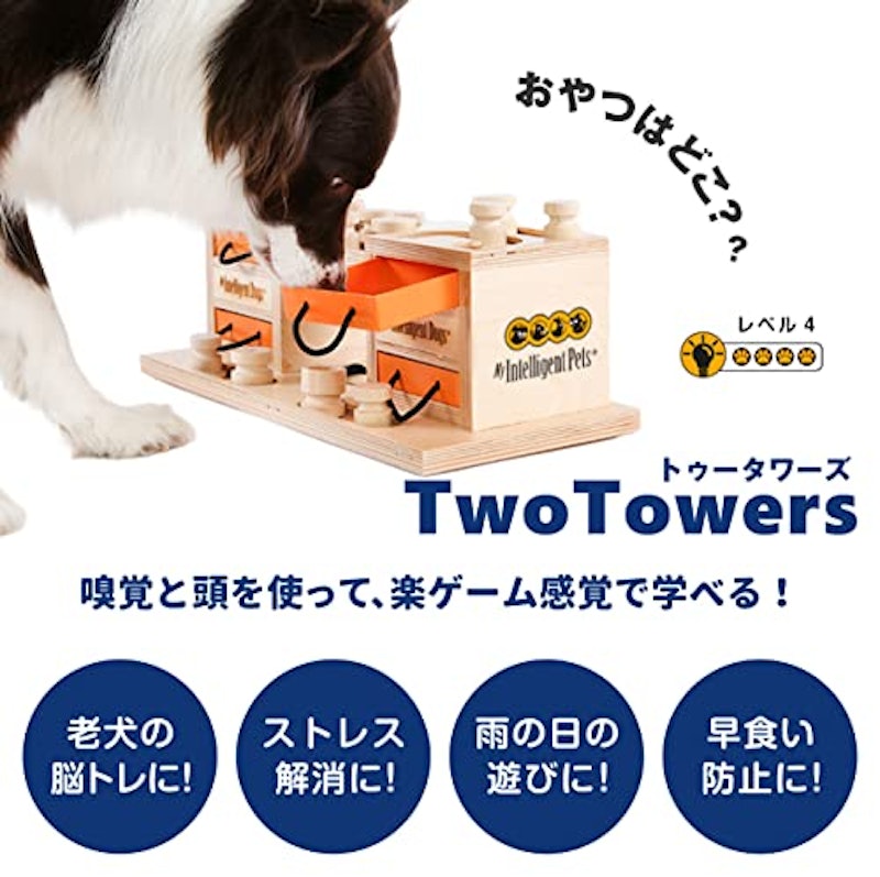 Two Towers 23パズル 2