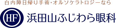 浜田山ふじわら眼科 ICL手術 1