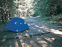 月川荘キャンプ場 1