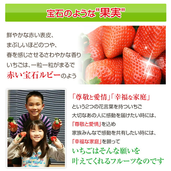 宮崎産高級いちご「おおきみ」超特大9粒 4