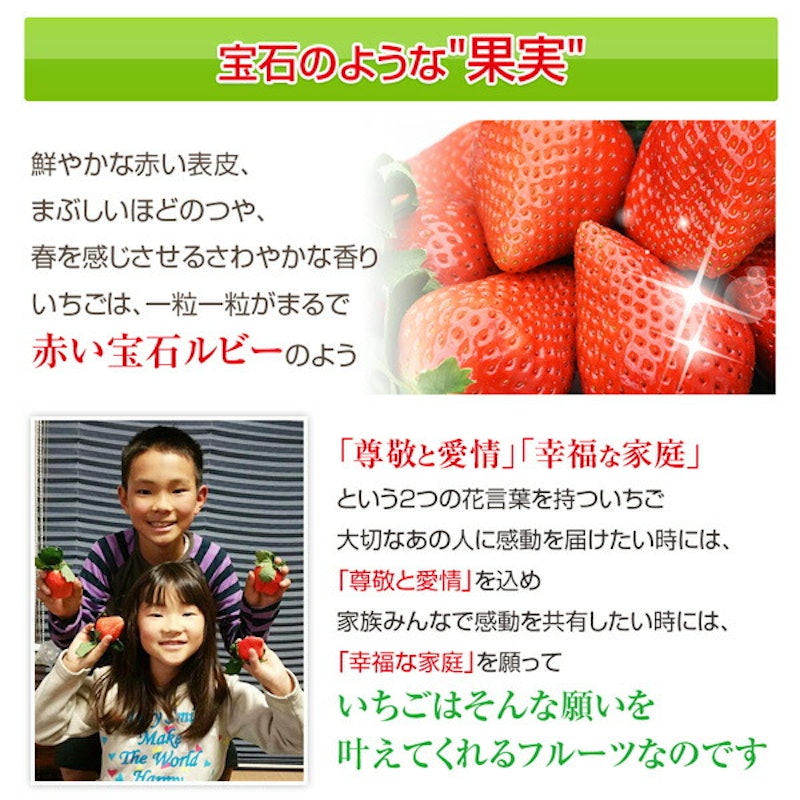 宮崎産高級いちご「おおきみ」超特大9粒 4