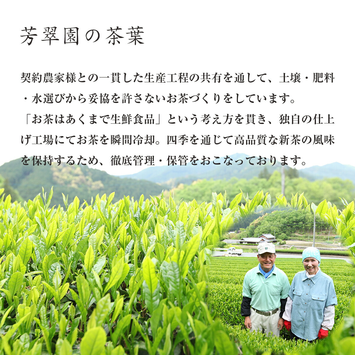 名人憲太郎 煎茶ほうじ茶セット 桐箱入り 5