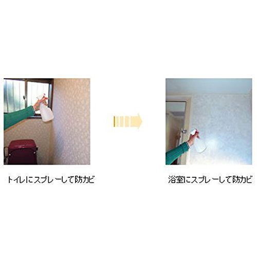 強力防カビ剤 B-10スプレー  4