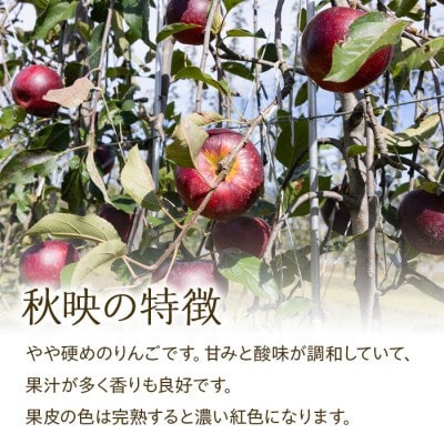 訳あり 信州のりんご 秋映 2