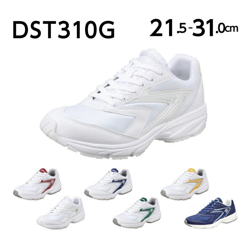 DST 310G 2