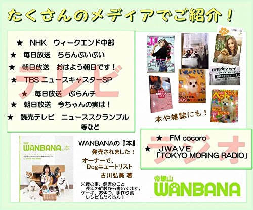 馬肉生地ミニお誕生日ホールケーキ 5