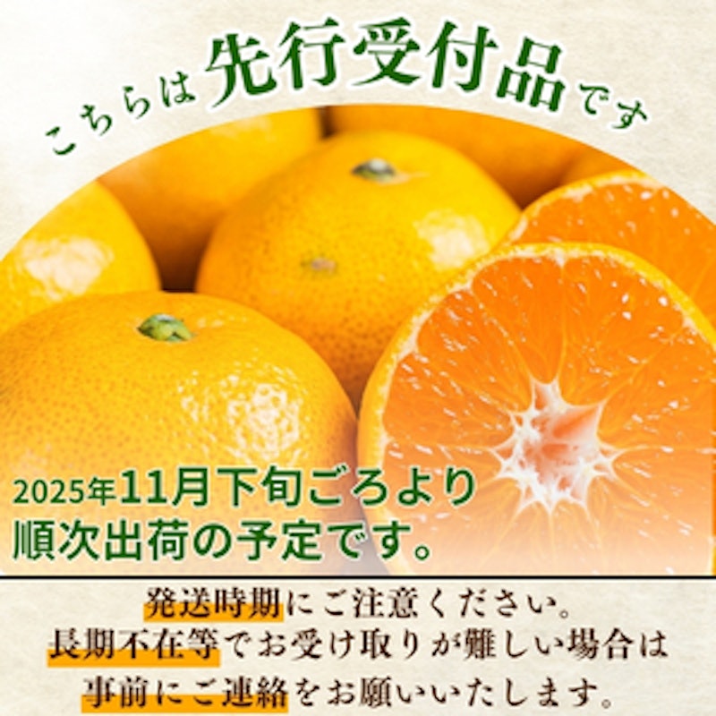 こだわりの有田みかん 2