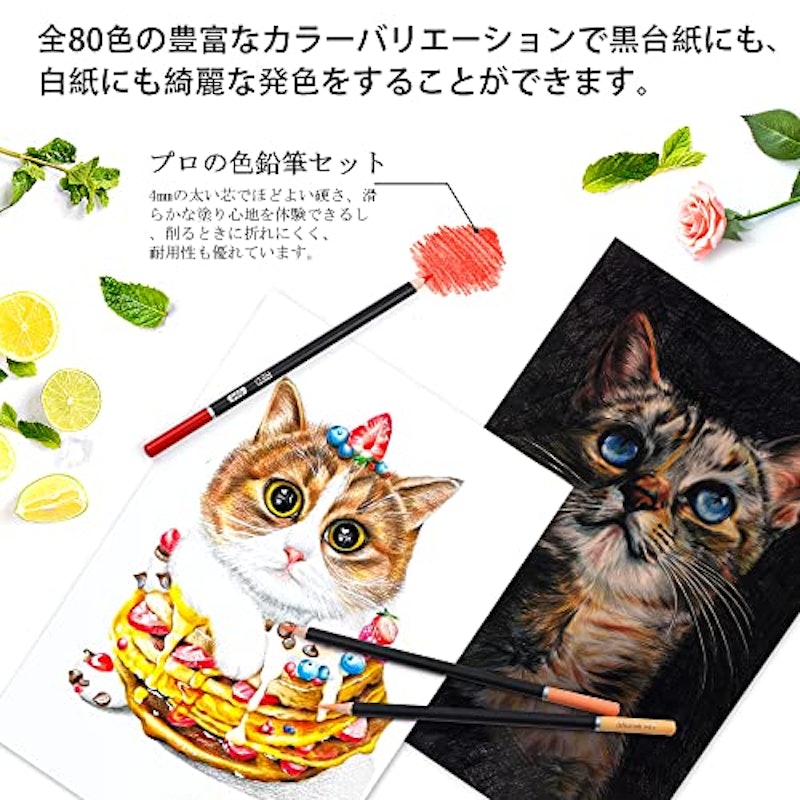 プロフェッショナル色鉛筆 80色セット 4