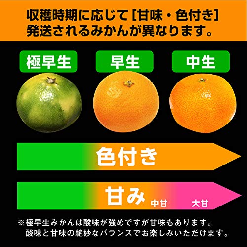 2022年】お取り寄せみかんのおすすめ人気ランキング15選 | mybest