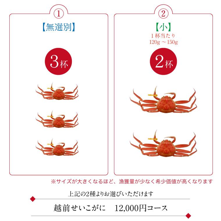  越前ガニ 3