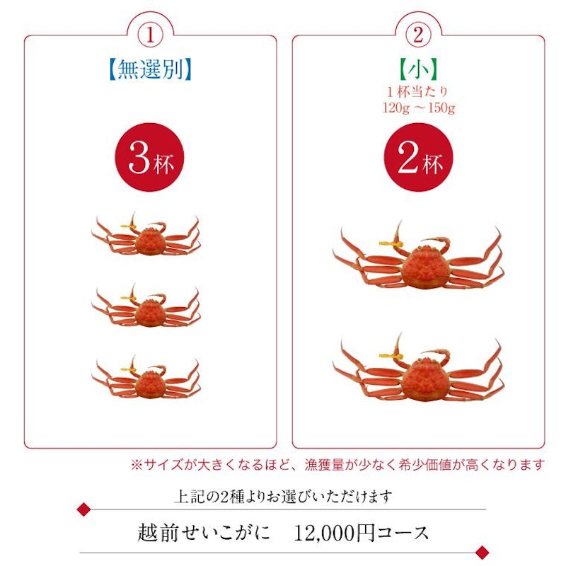 越前ガニ 3