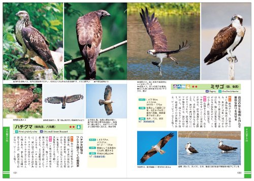 名前がわかる野鳥大図鑑 99種の鳴き声が聞けるCD付き 2